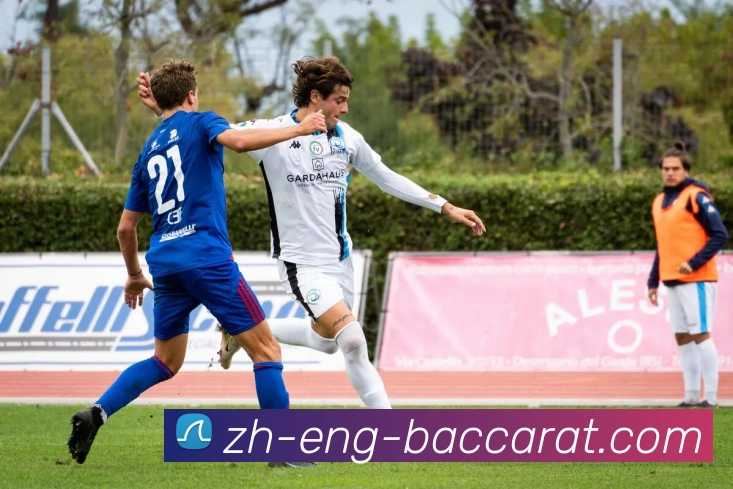 百家乐官网APP 封面图